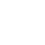 shield check icon